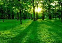 民营经济网9月14日民营日报 工信部：缺水地区原则上不得新建印染项目