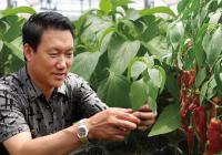 张家口市首家蔬菜企业亚雄农业新三板挂牌上市 张家口市首家蔬菜企业亚雄农业新三板挂牌上市