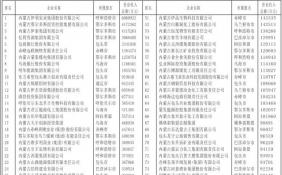 2017内蒙古民营企业100强名单发布
