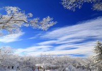 春节心梗发生多积极防范过好年