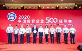 2022中国民营企业500强揭榜 京东首问鼎，腾讯最能赚