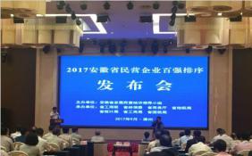 2017安徽省民营企业百强排序发布会在滁州举办