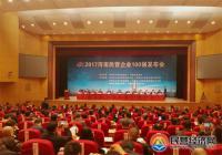 2017年河南民营企业100强榜单发布 2017年河南民营企业100强榜单发布