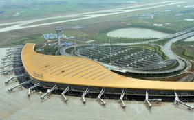 安徽合肥新桥机场截获植物种苗 已被截留处理